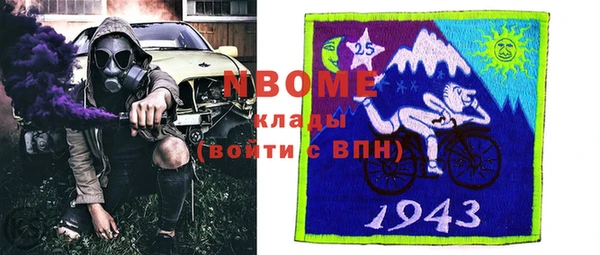мдпв Верея