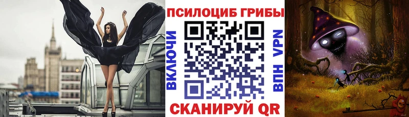 blacksprut вход  Ярославль  Псилоцибиновые грибы Psilocybe 
